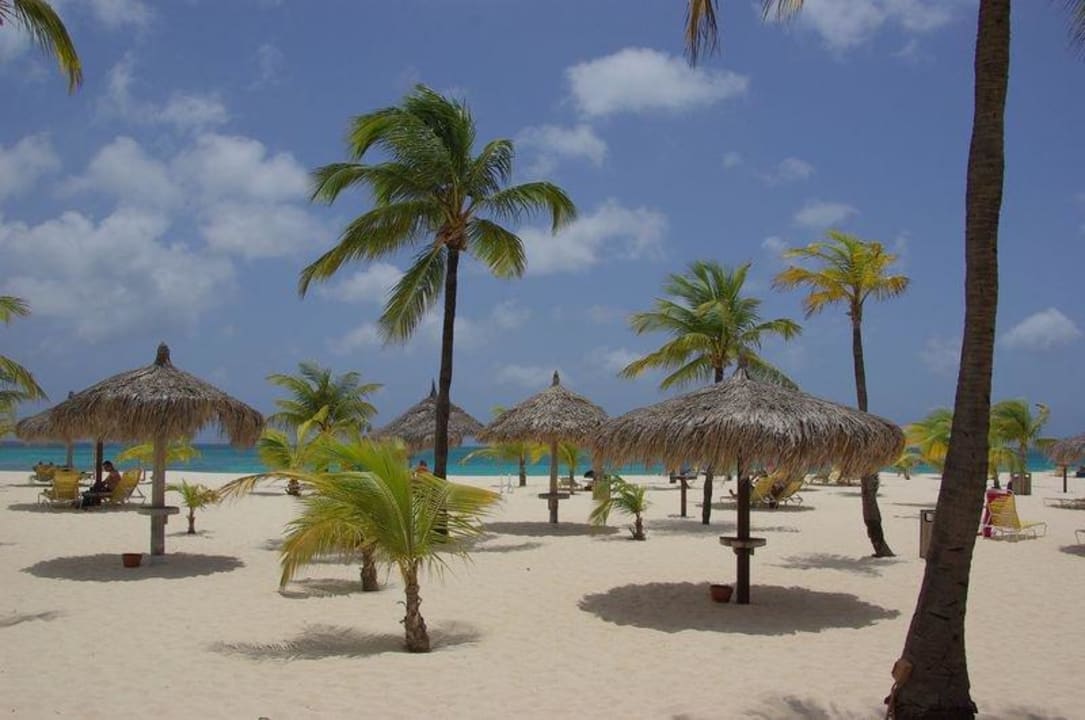 Karibik-Feeling am Hotelstrand Manchebo Beach Resort & Spa