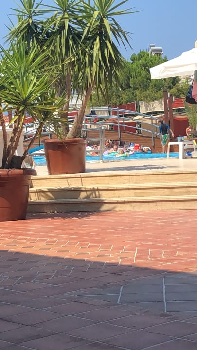 Pool Club Dizalya
