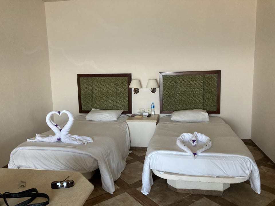 Zimmer Pickalbatros Citadel Resort