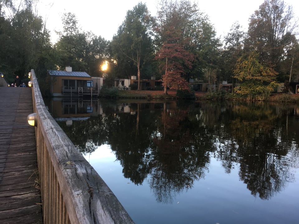Gartenanlage Center Parcs De Eemhof