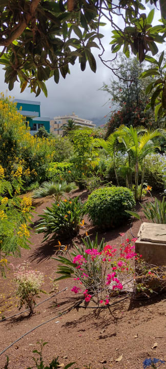 Gartenanlage TRH Taoro Garden