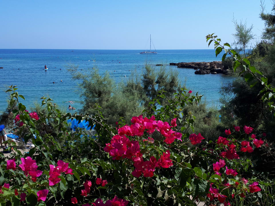 Ausblick Crystal Springs Beach Hotel