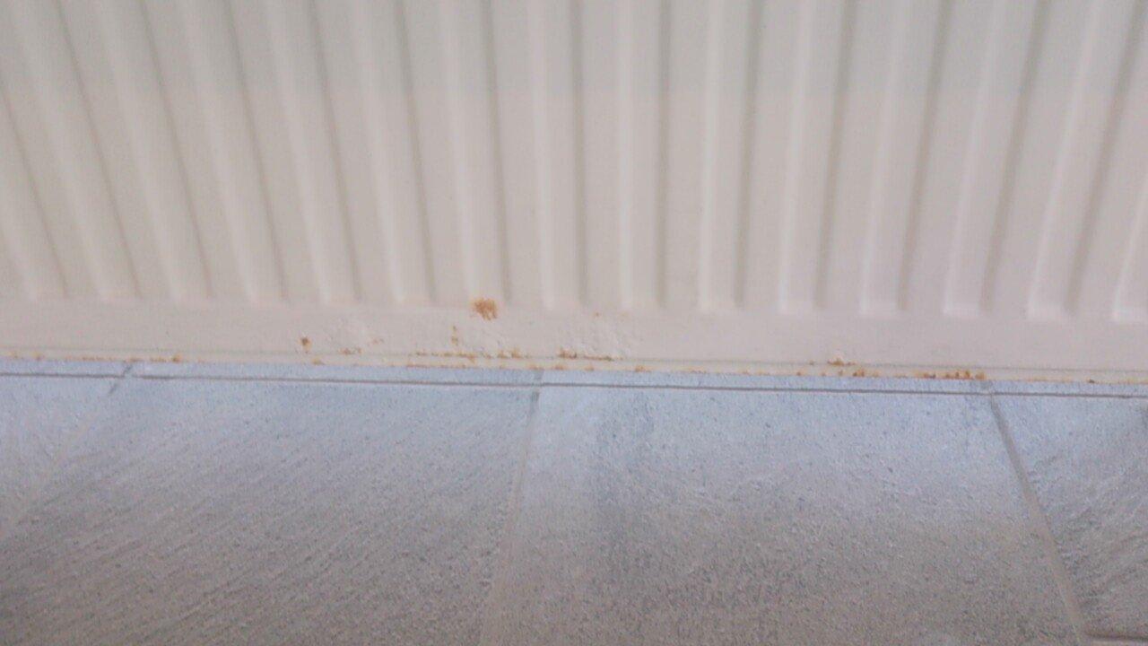 Poolbereich All In Red Thermenhotel