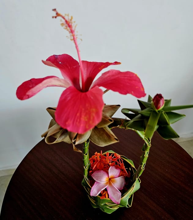 Sonstiges Paradisus Princesa del Mar Resort & Spa - Adults only