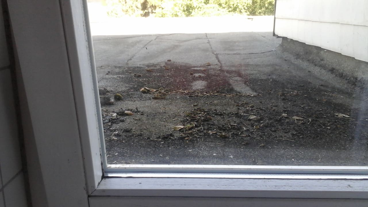 Ausblick Landhotel Kallbach