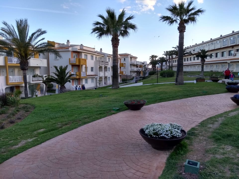 Gartenanlage blau punta reina