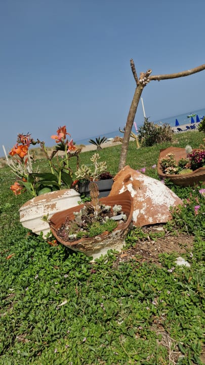 Gartenanlage Hotel Kathrin Beach