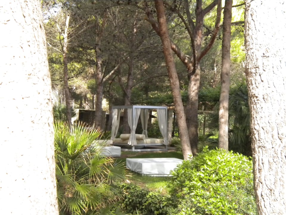 Schön schattig! VIVA Cala Mesquida Suites & Spa 16+