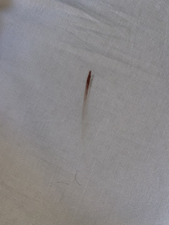 Zimmer Melia Las Dunas