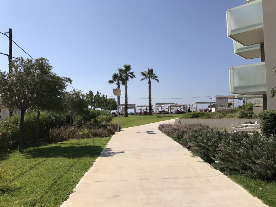 Pool Akti Palace Resort & Spa