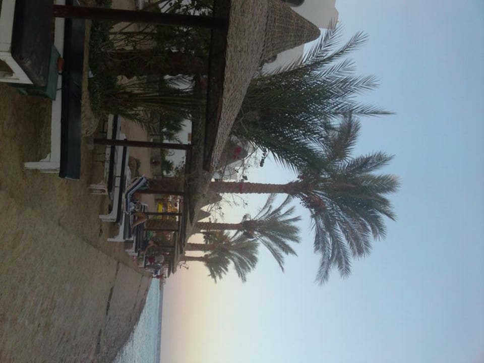 Bucht Arabia Azur Resort