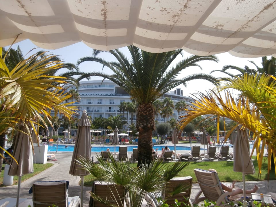 Schön Hotel Riu Palace Tenerife