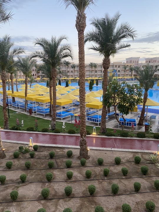Pool Pickalbatros Palace Resort
