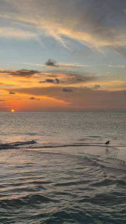 Strand Jawakara Islands Maldives