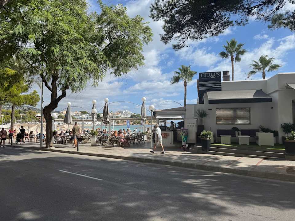 Strand Reverence Mare - Adults only