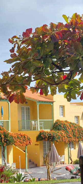 Außenansicht Apartamentos La Caleta