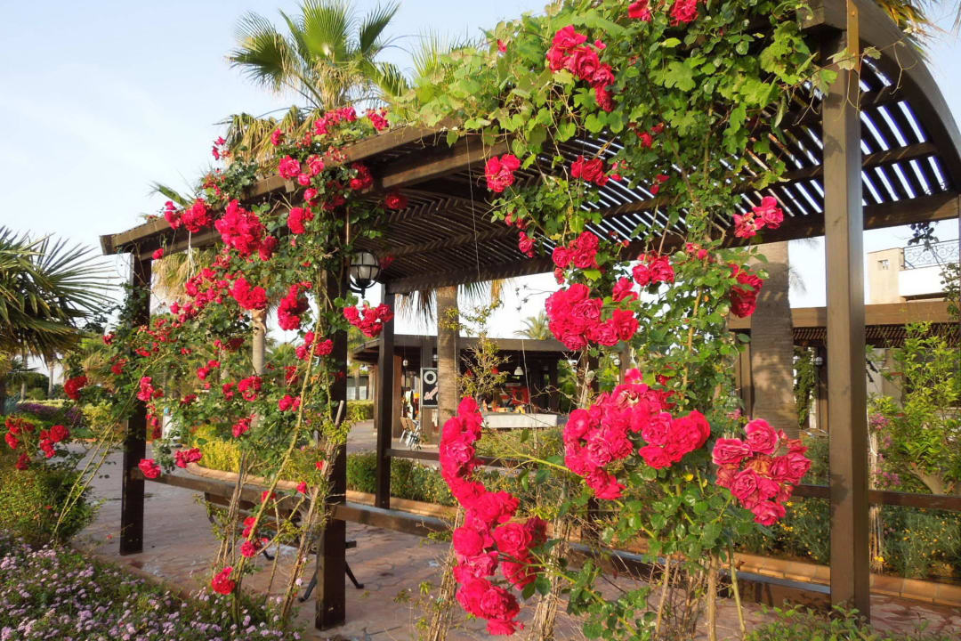 Майский отдых в Миракле Hotel Miracle Resort