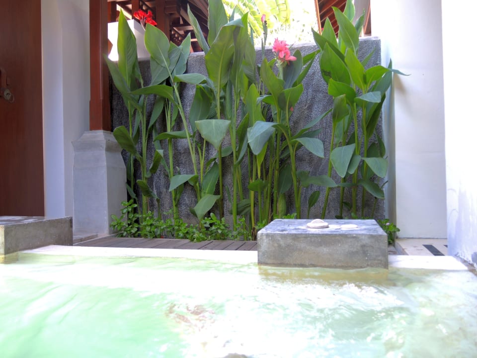 Poolroom - Ausblick vom Room Pavilion Samui Villas & Resort