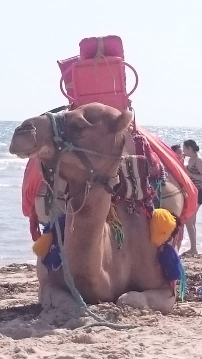 Sonstiges Djerba Sun Beach Hotel & Spa