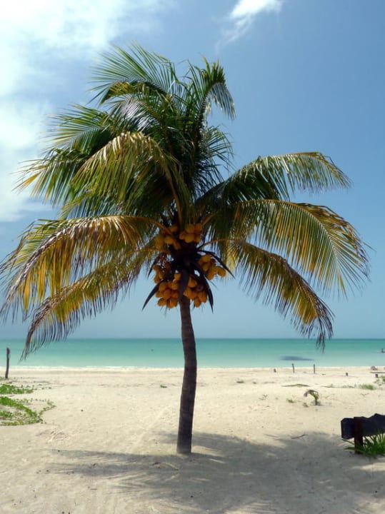 Blick auf den Strand Hotel Zomay Holbox