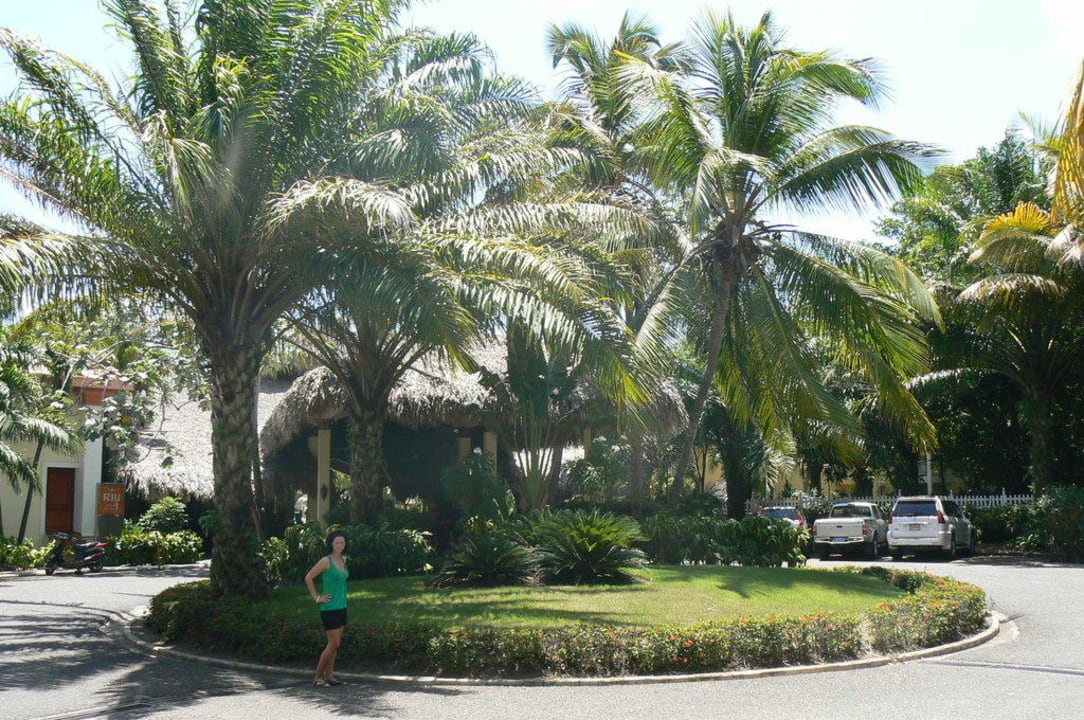 Eingang Playabachata Hotel