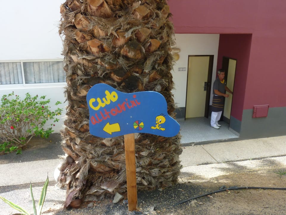 Schön allsun App.-Hotel Esquinzo Beach