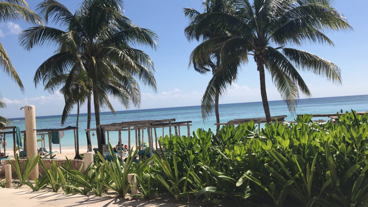 Strand Akumal Bay Beach & Wellness Resort