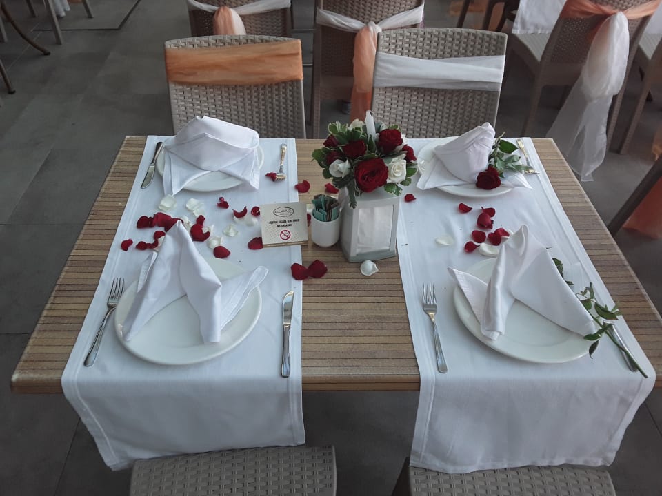 Gastro Alaiye Resort & Spa