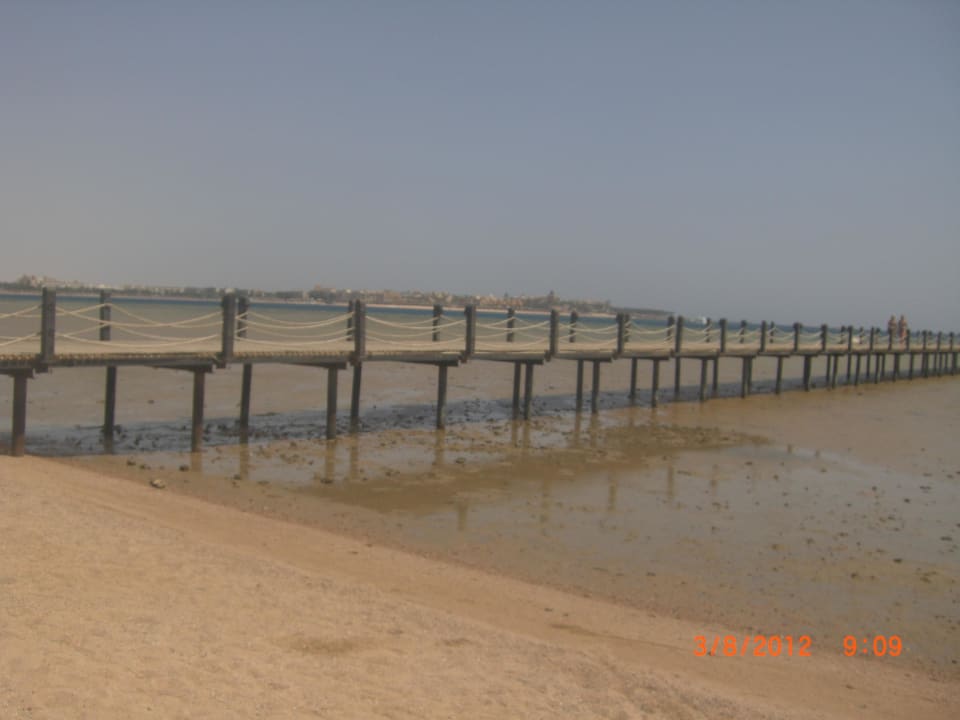 Wasser bei Flut! Stella Beach Resort & Spa Makadi Bay