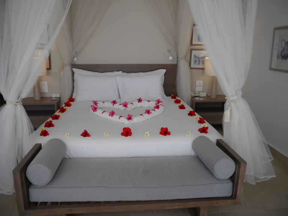 Zimmer Steigenberger Resort Alaya Marsa Alam - Red Sea - Adults only