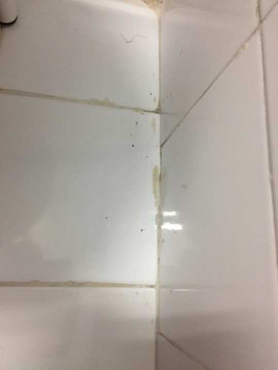 Zimmer Hotel Europalace