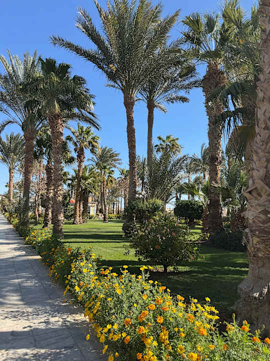 Gartenanlage The Grand Palace - Adults only