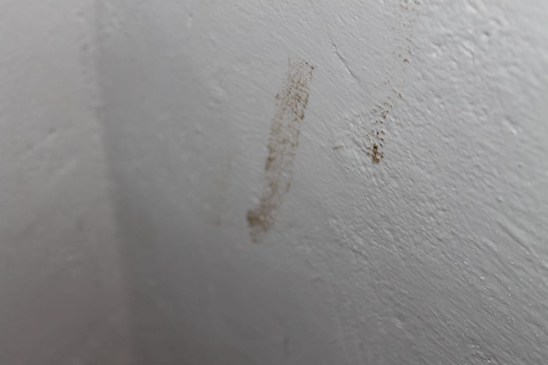 Wand Hotel Diani Sea Lodge