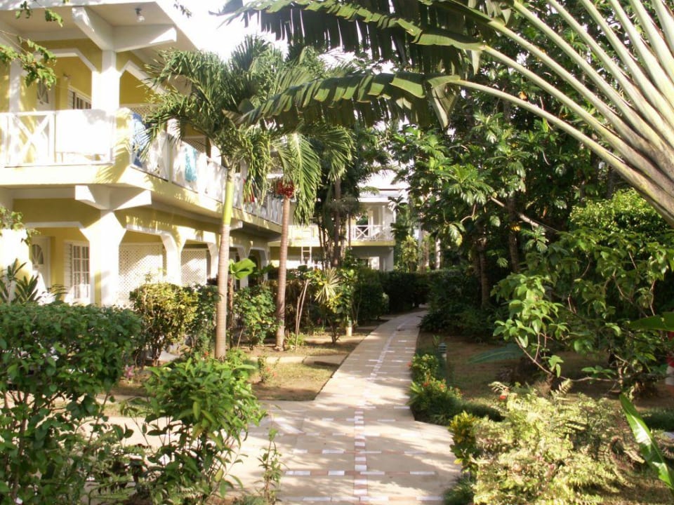 Hauptweg zum Ausgang/Rezeption Merril's Beach Resort