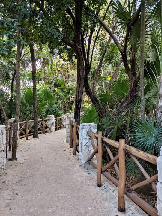 Strand Iberostar Waves Paraiso del Mar