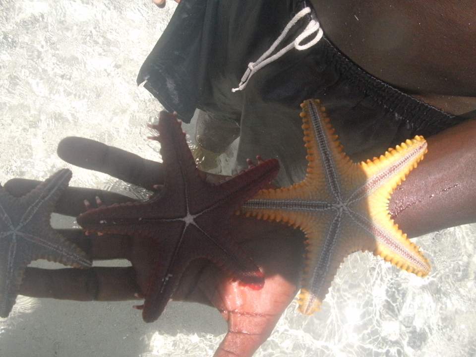 Auf der Sandbank Hotel Papillon Lagoon Reef