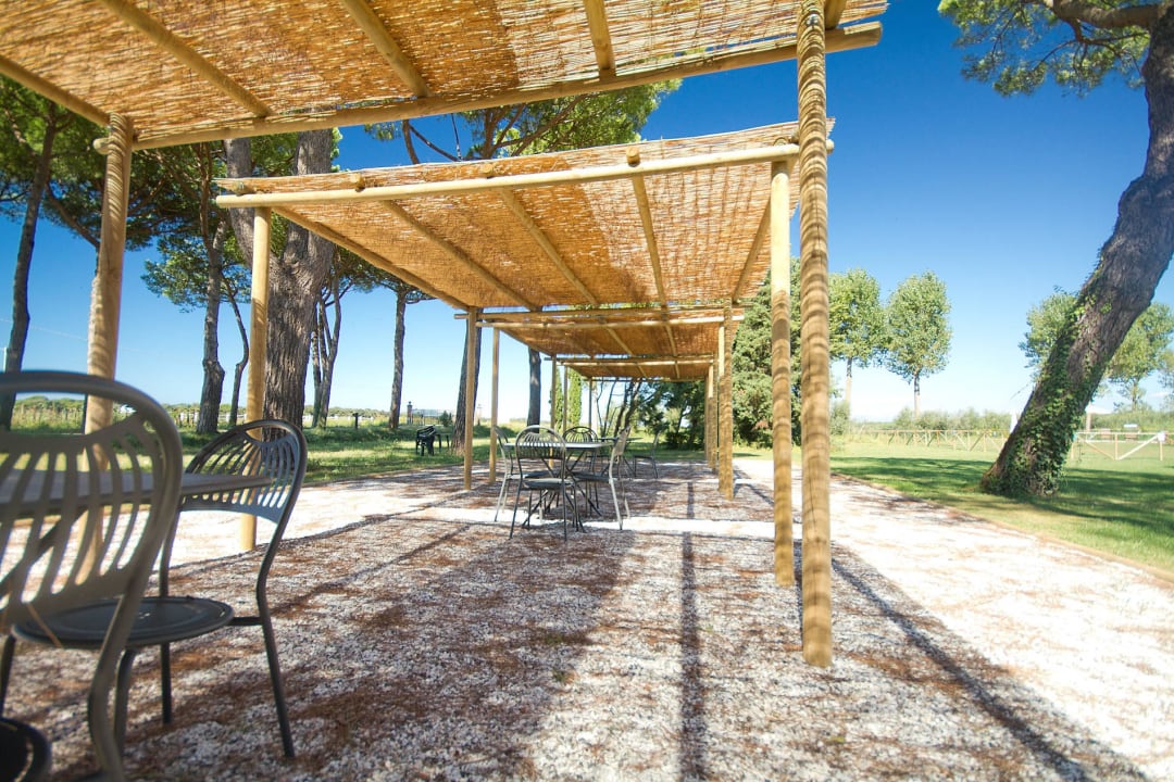 Patio La Fattoria di Tirrenia