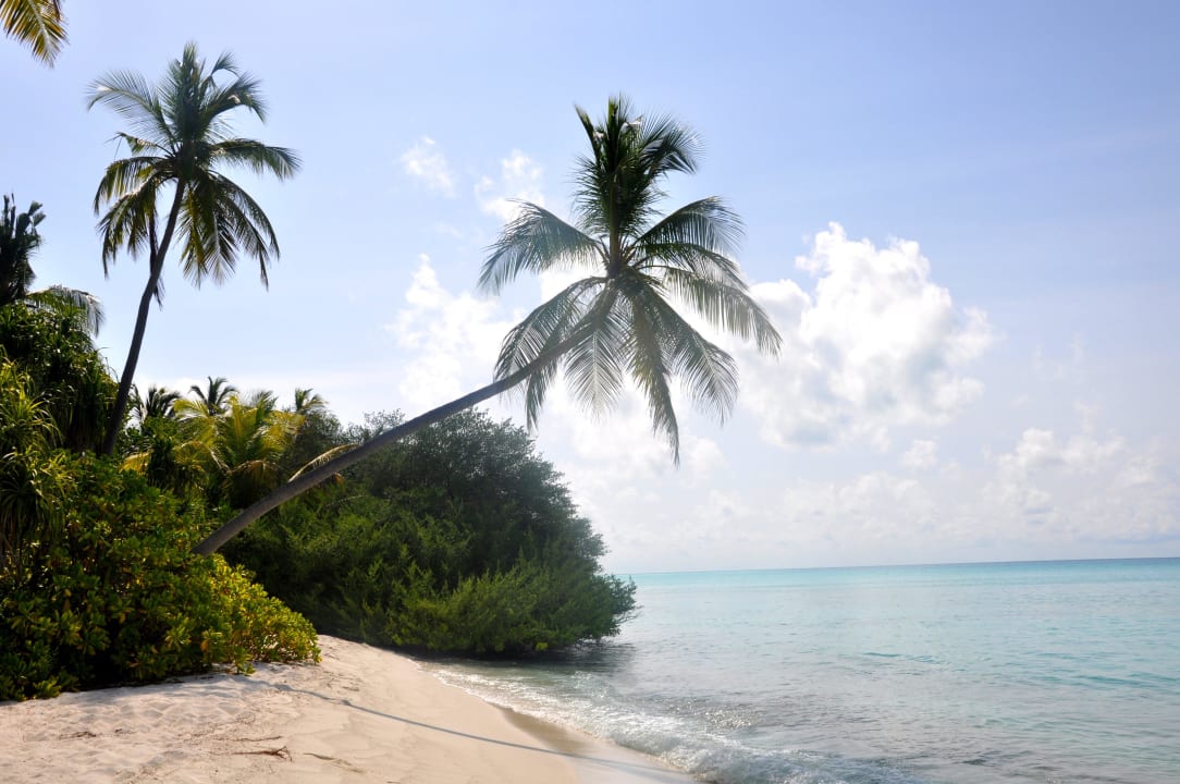 Postkartenmotiv Kuramathi Maldives