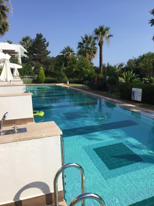 Pool Side Star Elegance