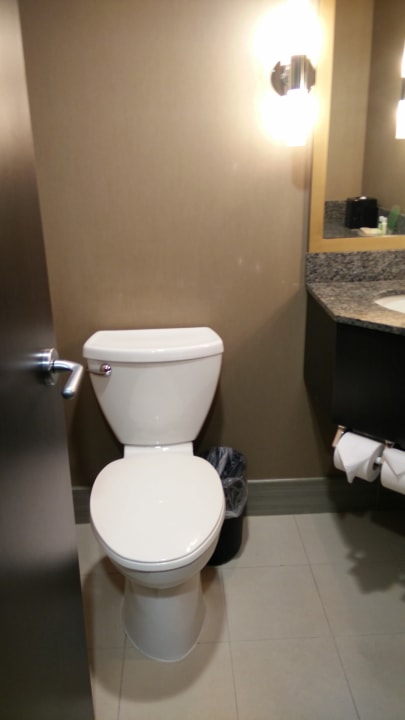 Zimmer Holiday Inn Toronto Downtown Centre