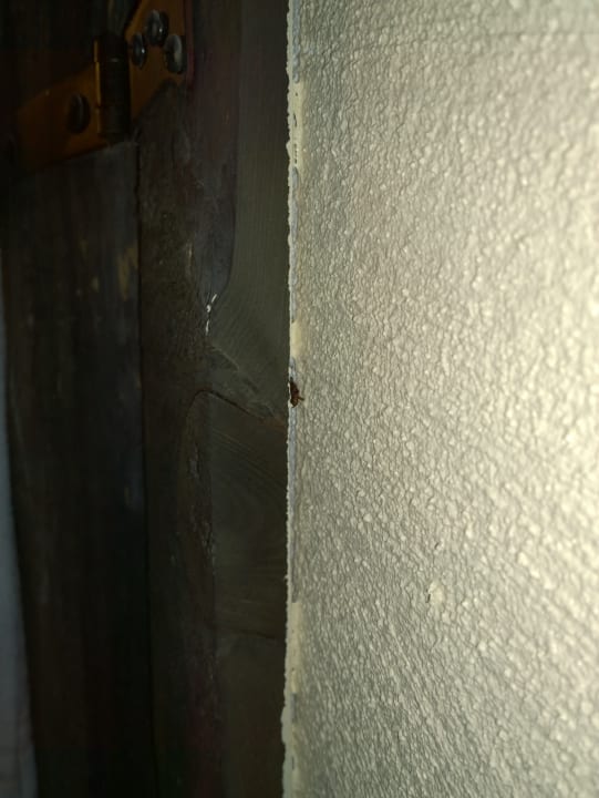 Zimmer Tropical Islands Resort