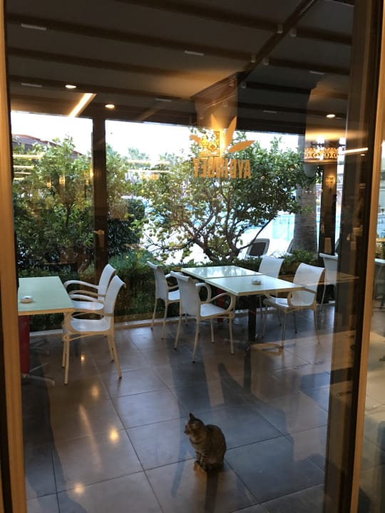 Gastro Aydinbey Kings Palace & Spa