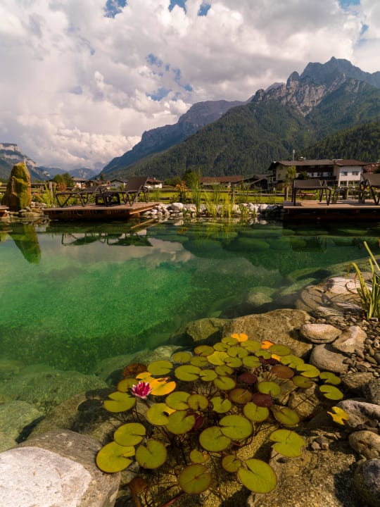 Schwimmteich mit Blick in die Berge Waidringer Hof · 1. Tiroler Glückshotel