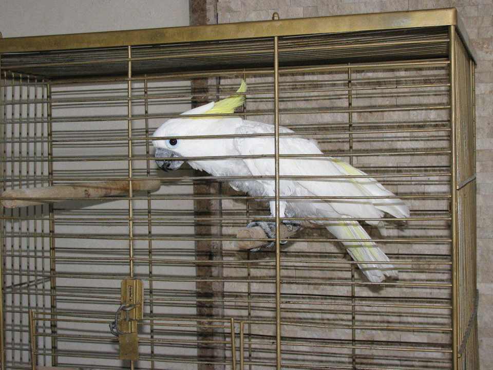 Klettermax Top Hotel