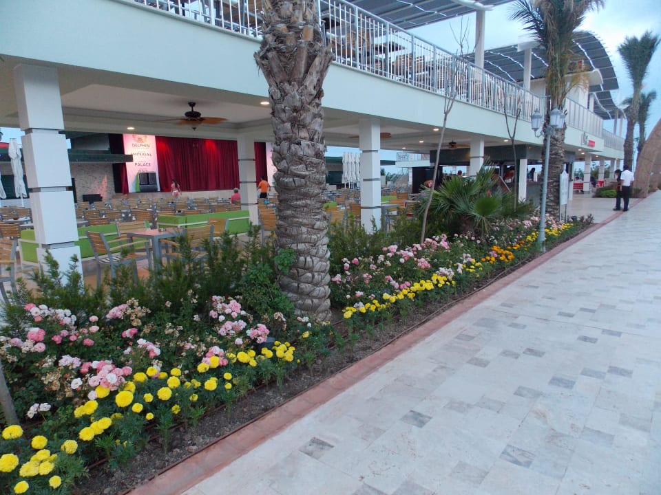 Mittagessen und Showbühne Hotel Delphin Imperial