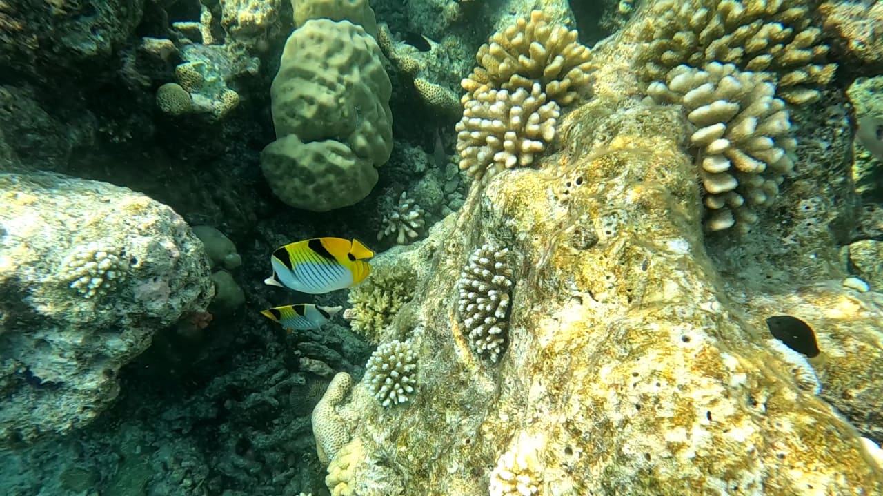 Sport & Freizeit NH Collection Maldives Havodda Resort