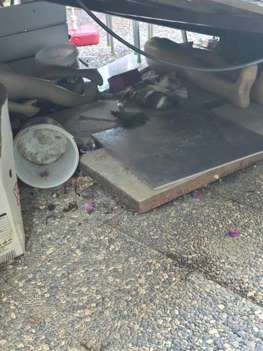 Außenansicht Club Hotel Anjeliq