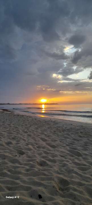 Sonstiges Sentido Phenicia