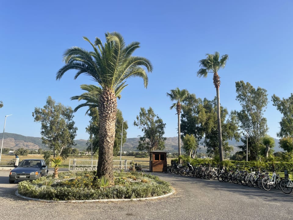 Gartenanlage Blue Lagoon Resort