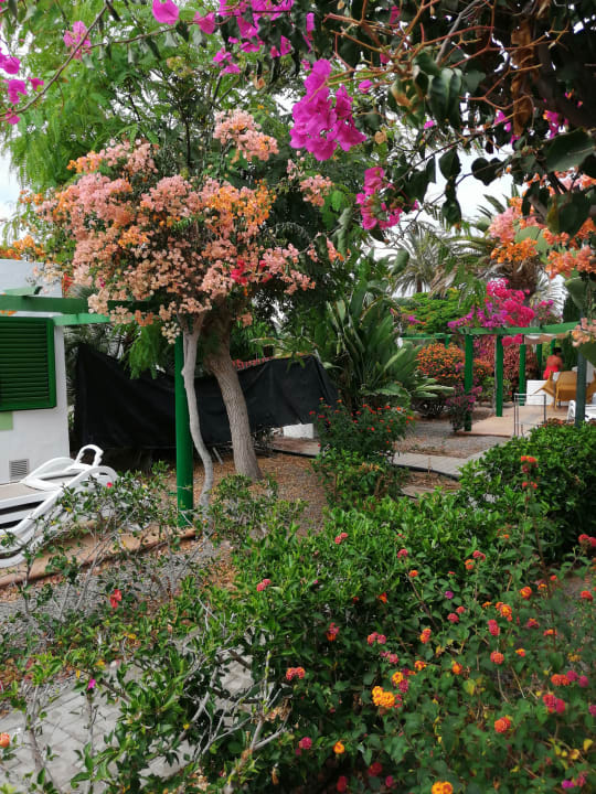 Außenansicht Bungalows Cordial Sandy Golf